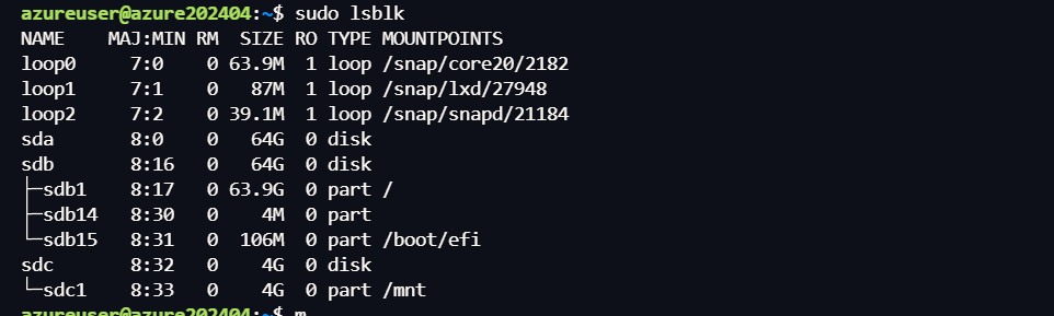 image-20240410042212136