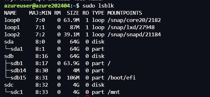 image-20240410042437772